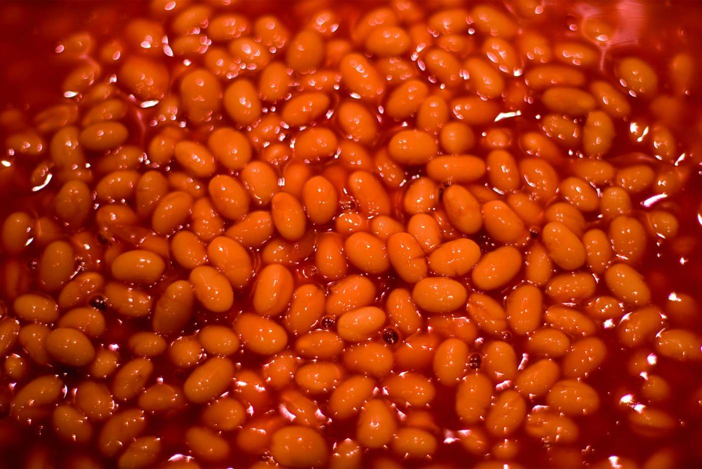 Baked Beans Ethical Consumer